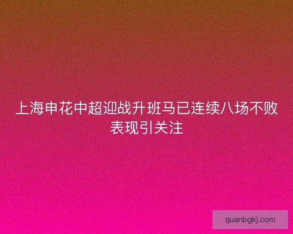 上海申花中超迎战升班马已连续八场不败表现引关注
